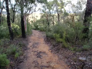 Jack Evans Track