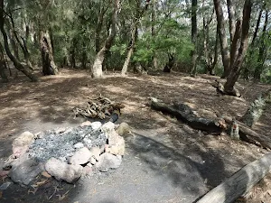 Corowal Plateau campsite