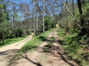 Int of Ten Mile Hollow Rd and Donny's track