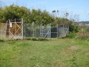 Grassed track around fence