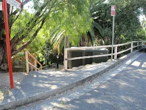 Hodgson Ave steps