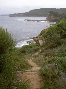 Track across Headland