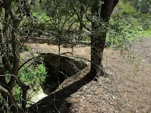Culvert next to Perimeter Trail