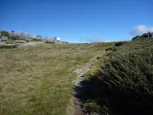 Just north of Int of Porcupine Trail and Wheatley Link Track