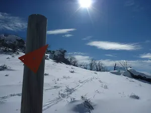 Mount Piper Trail