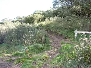 Bridle Loop intersection