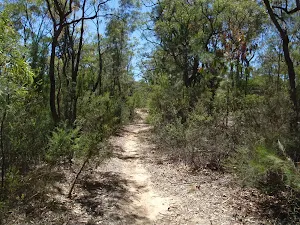 A narrow section of the OGNR