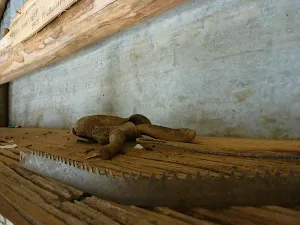 Some of the original items left in Inside Paton's Hut