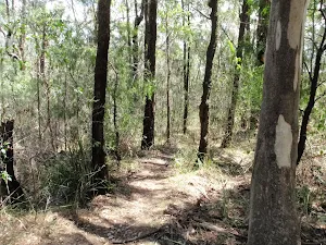 The dry scrub along Warri Warri Track