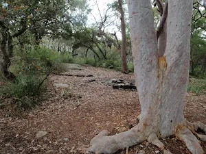 clearing and campsite at the int. of Magpie and Midway Trails