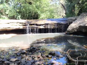 Epping to Eastwood Station (via Lane Cove River)