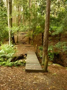 Timber footbridge over creek near Turpentine campsite in the Watagans