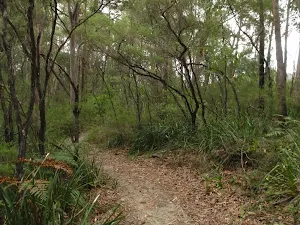 Near the top of Graves Walk Track