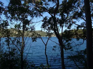 View of the bay through the trees
