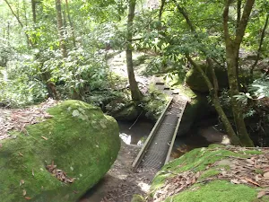 Narrow footbridge