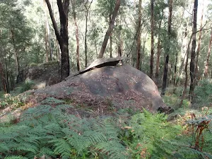 Interesting capstone
