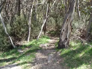 following the nature track