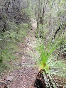 Highway Ridge track