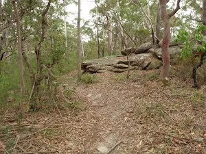 Graves Walk on top of the ridge