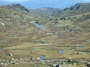 Wilkinson Creek