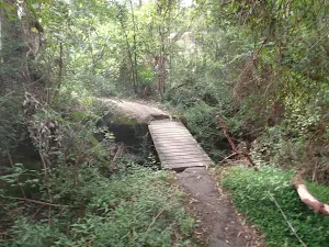 crossing a bridged creek