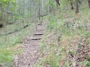 track up to the top of the main ridge