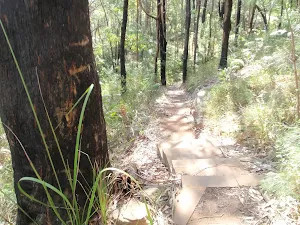 Steps on the Flannel Flower Track