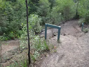 To Link Track intersection