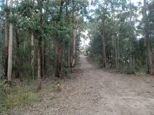 following the dirt roads