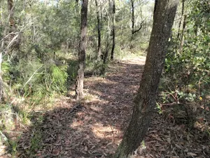 Near the top of the Ridge trail