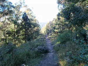 winding down the ridge