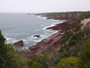 View along the coast towards Haycock Point