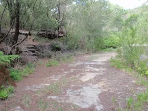 Davidson service trail