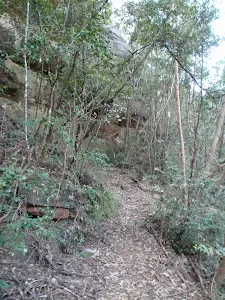 Track up the from Glenbrook Creek