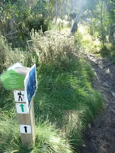 Golf Course loop track post
