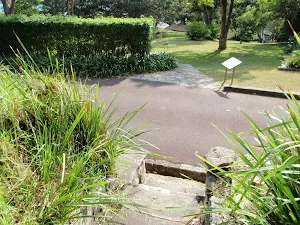 Mt Trefle Track at Greycliffe House