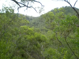 View from Six Foot Track