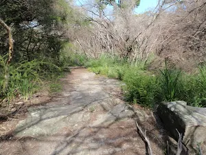 Track over Mt Trefle