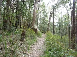 Track below Ruined Castle