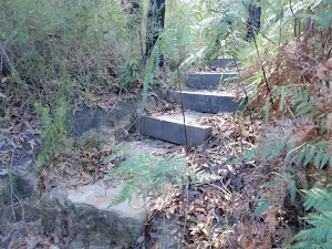 Natural Bridge Track steps