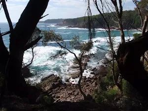 View south of the coast