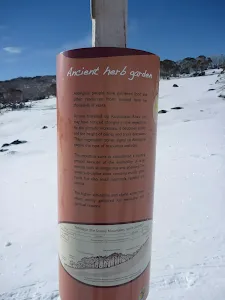 Ancient Herb Garden information sign