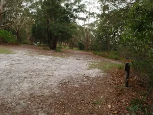 Walking through clearing