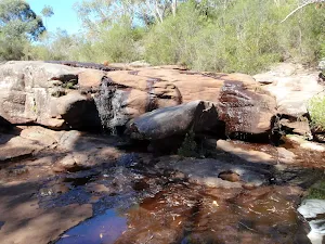 Rocky Ponds Tank Creek