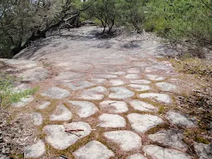 Tessellated Pavement