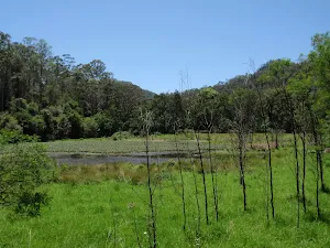 Park Gully Wet land