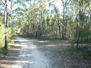 Perimeter Trail near Terrey Hills