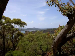 View over Pittwater from The Basin Track