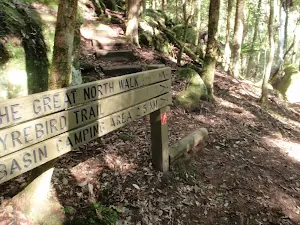 GNW sign on the Lyrebird Trail