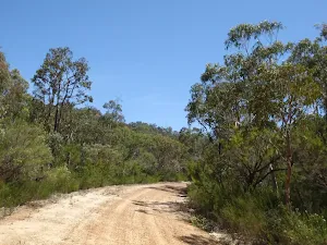 Donny's Track